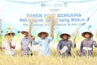 Pemkot Sungai Penuh Bersama BI Dorong Ketahanan Pangan Melalui Panen Raya 