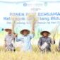 Pemkot Sungai Penuh Bersama BI Dorong Ketahanan Pangan Melalui Panen Raya 