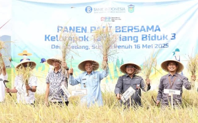 Pemkot Sungai Penuh Bersama BI Dorong Ketahanan Pangan Melalui Panen Raya 