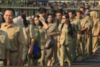 Resmi Berlaku, Pemerintah Buka Peluang PPPK Paruh Waktu Buat Honorer yang Belum Lolos (Istimewa)