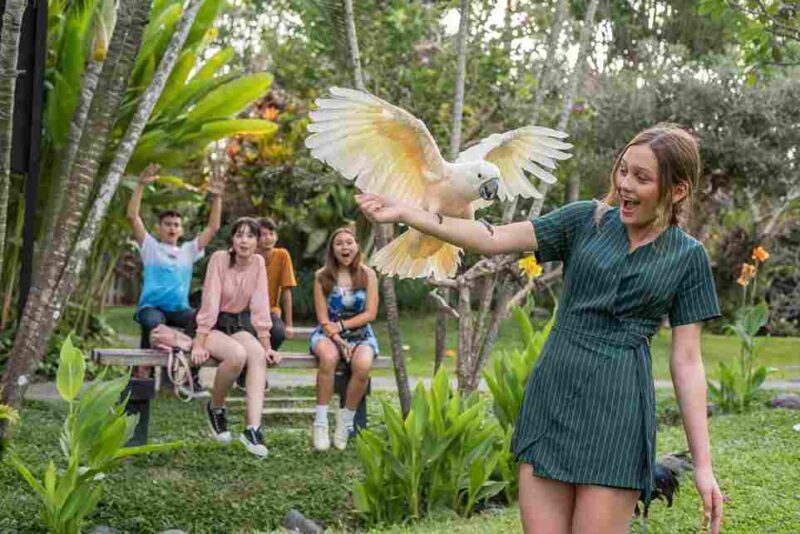 Serunya 10 Tempat Wisata Anak Terbaik di Bali (Foto: pelago.com)