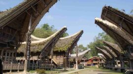 Eksplor Budaya Lokal di Toraja: Adat Unik dan Wisata Alam. (Sumber: Wikipedia)