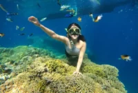 Liburan Seru ke Pulau Menjangan dan Pulau Tabuhan, Hidden Gems Banyuwangi. (Foto: traveloka)
