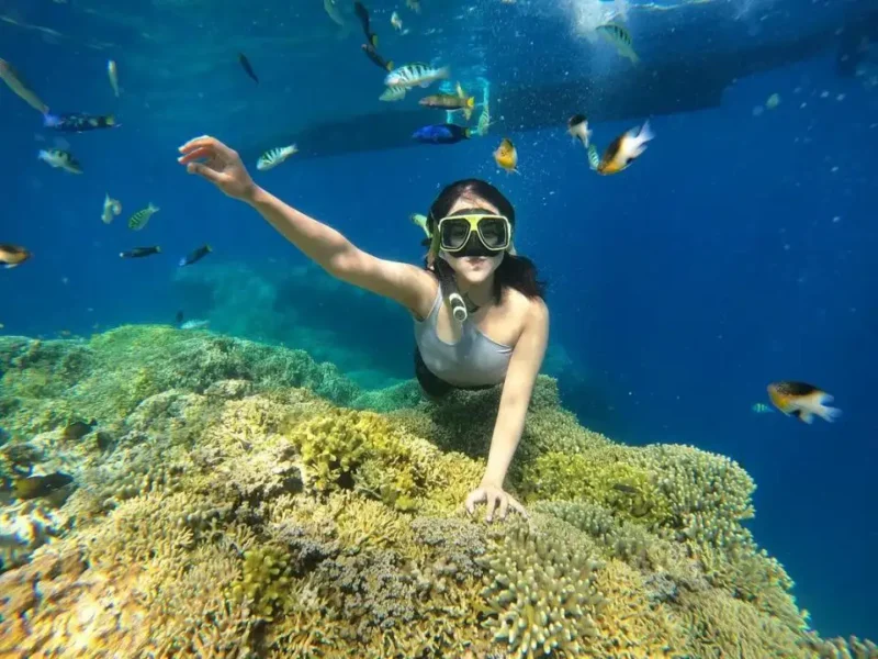 Liburan Seru ke Pulau Menjangan dan Pulau Tabuhan, Hidden Gems Banyuwangi. (Foto: traveloka)