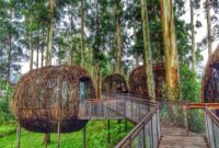 Wisata Bandung Barat: 8 Destinasi Favorit dengan Pesona Alam dan Spot Instagramable. (Foto: google)