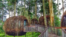 Wisata Bandung Barat: 8 Destinasi Favorit dengan Pesona Alam dan Spot Instagramable. (Foto: google)