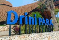 Pesona Pantai Drini Gunungkidul: Keindahan, Sejarah, dan Kehidupan Pesisir. (Foto: travel.tribunnews)