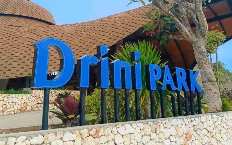 Pesona Pantai Drini Gunungkidul: Keindahan, Sejarah, dan Kehidupan Pesisir. (Foto: travel.tribunnews)