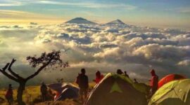 Healing Ala Anak Gunung: Camping Santai di Savana Gunung Sumbing (Foto: Google)