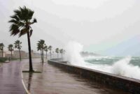 Ilustrasi. Topan Bualoi Terjang Vietnam, 19 Orang Tewas dan Ribuan Dievakuasi. (Foto: Freepik)