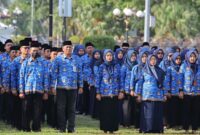 Ilustrasi ASN, PNS, PPPK. (KOMPAS.com/SUKOCO)