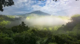 Taman Nasional Gunung Leuser, Aceh (Foto: vrogue)