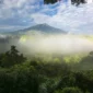 Taman Nasional Gunung Leuser, Aceh (Foto: vrogue)