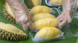 Ilustrasi makan durian. Foto: Shutterstock