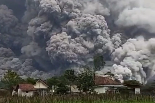 Luncuran awan panas Gunung Semeru, Rabu (19/11/2025). Foto: Dok. Istimewa