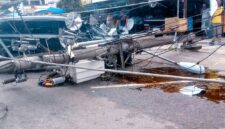 Tiang listrik ambruk tertimpa pohon di Bungo.