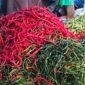 Ilustrasi harga sembako untuk komoditas cabe merah di Kerinci Jambi