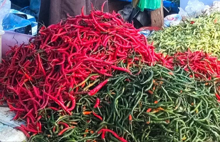 Ilustrasi harga sembako untuk komoditas cabe merah di Kerinci Jambi