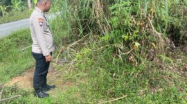 Lokasi penemuan bayi di Mukai Tinggi, Kerinci. 