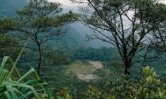 Gunung Kunyit Punya Dua Kawah dan Taman Dewa yang Memukau