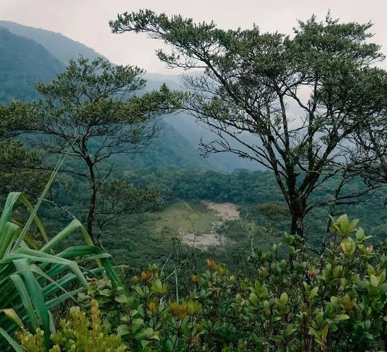 Pesona Gunung Kunyit Kerinci. 
