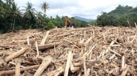 Sampah Kayu Gelondongan Pasca banjir bandang di desa Aek Geroga, Kecamatan Batang Toru, Kabupaten Tapanuli Selatan, Sumatera Utara. 