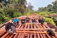 Polres Inhu Ungkap 300 Kubik Kayu Ilegal di Perbatasan. Foto: Humas Polres Kerinci.