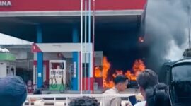 Foto : Scransoot video. 