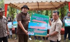 Luas Sawah Merangin Naik 11 Persen, Ketahanan Pangan Diperkuat