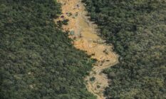 PETI Diduga Masuk TNKS, 20 Alat Berat Rusak Perbatasan Kerinci–Merangin