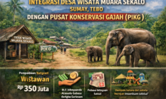 DPRD Jambi Dorong Desa Wisata Terintegrasi Pusat Konservasi Gajah Tebo
