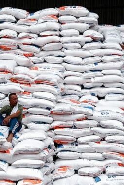 Bulog Jamin Stok Beras dan Minyakita Aman, Warga Diminta Tak Panic Buying