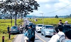 Wisata Kayu Aro Membludak Saat Lebaran 2026, Jalan Macet dan Penginapan Penuh