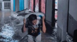 Warga Siulak, Kerinci memindahkan padi dari banjir. 