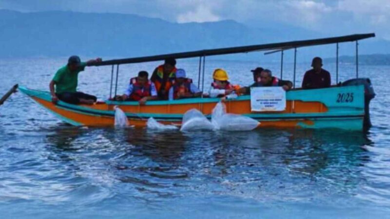 Bupati Monadi & PT KMH: Tebar Benih Ikan Demi Masa Depan Ekosistem Danau Kerinci
