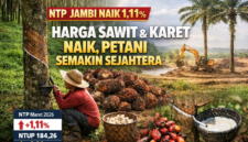 Ilustrasi NTP Jambi Naik 1,11 Persen. 